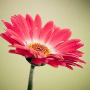 Meet your Posher, April